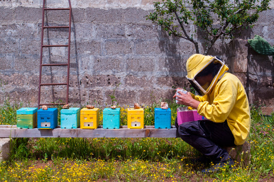 Miele Millefiori del Salento: Il connubio perfetto tra natura e tutela dell'ambiente